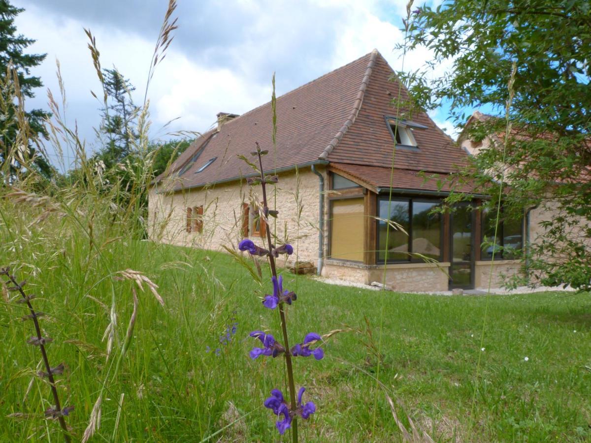 Maison Perigord Noir Pres De Lascaux, Montignac, Sarlat, Perigueux Fleurac  Kültér fotó